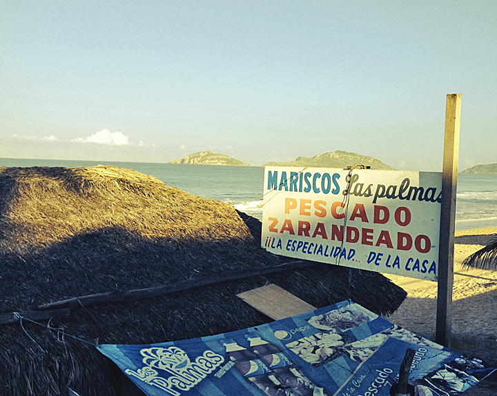 Mazatlan Palapa