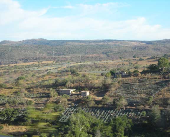 dscn2441.jpg