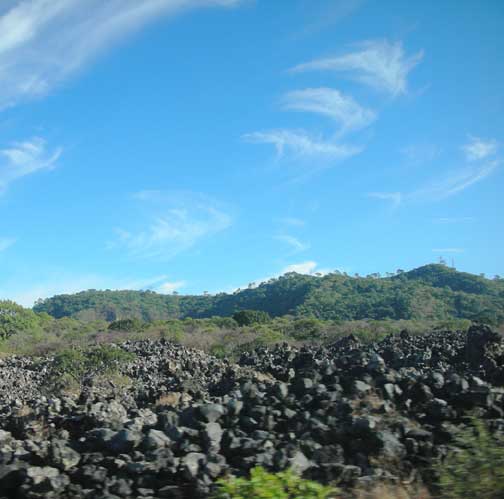dscn2445.jpg