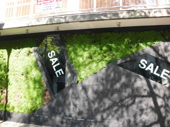 dscn2530.jpg