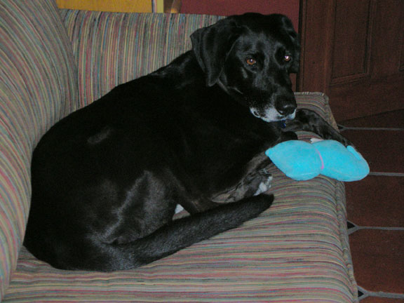 DSCN2143.jpg