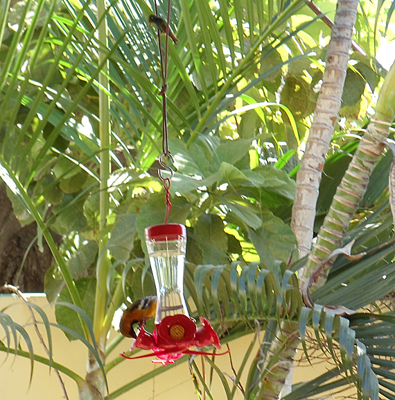 dsc00169