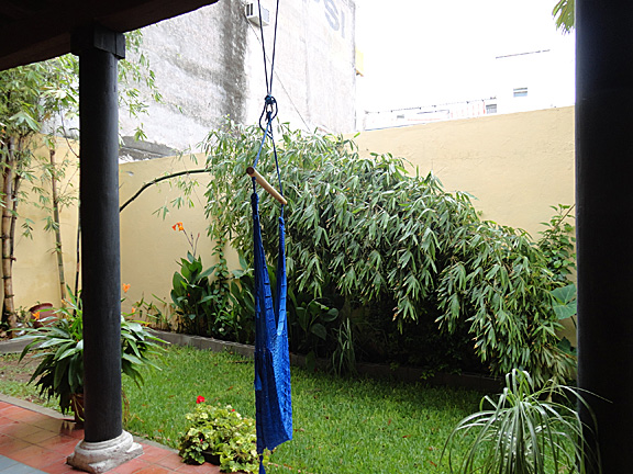 Mazatlan bamboo