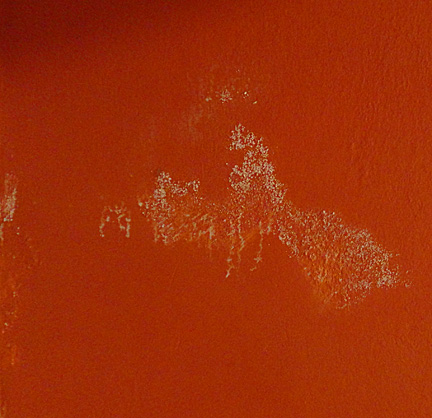 Salitre on wall