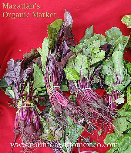 Mazatlan Organic Market Beets