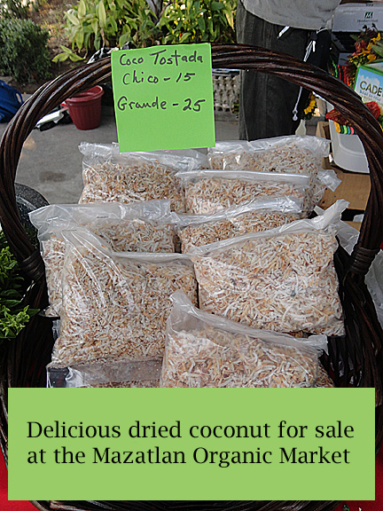 Mazatlan Organic Market Coconut