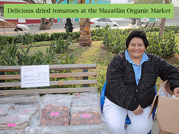 Mazatlan Organic Market Dried Tomatoes