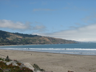 stinson18.jpg