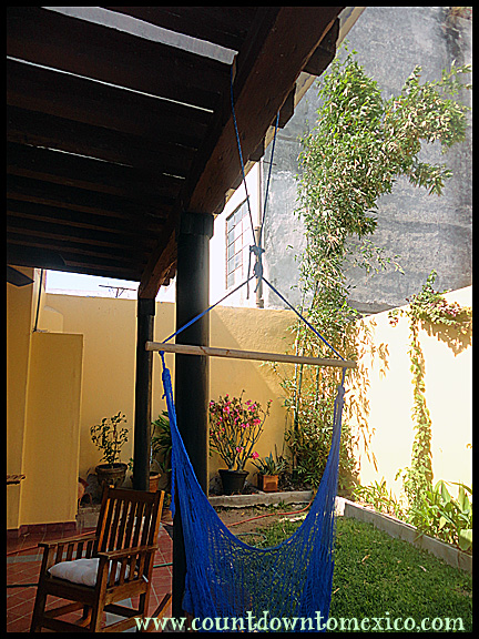 garden6